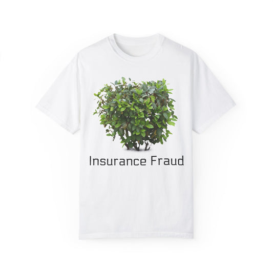 INSURANCE FRAUD